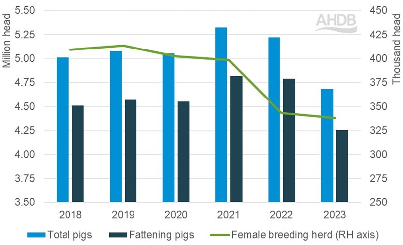Bar and line graph showing the UK pig population split by fattening pigs and female breeding pigs